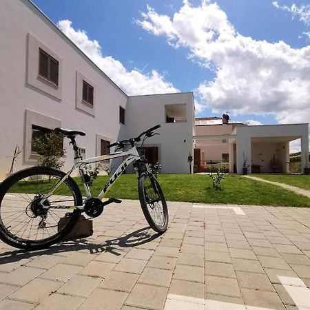 Apartments Leticia Vrsi Εξωτερικό φωτογραφία