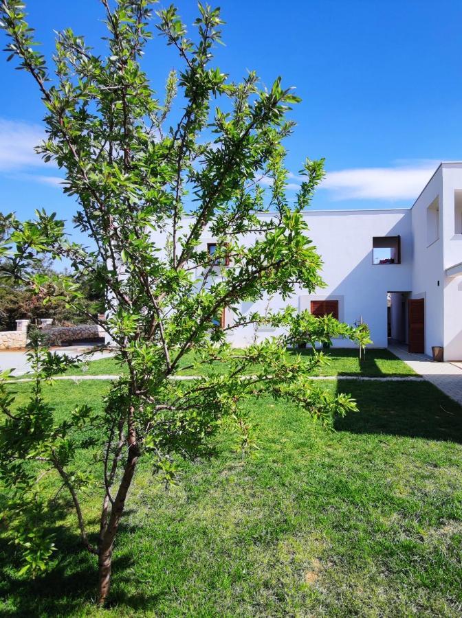 Apartments Leticia Vrsi Εξωτερικό φωτογραφία