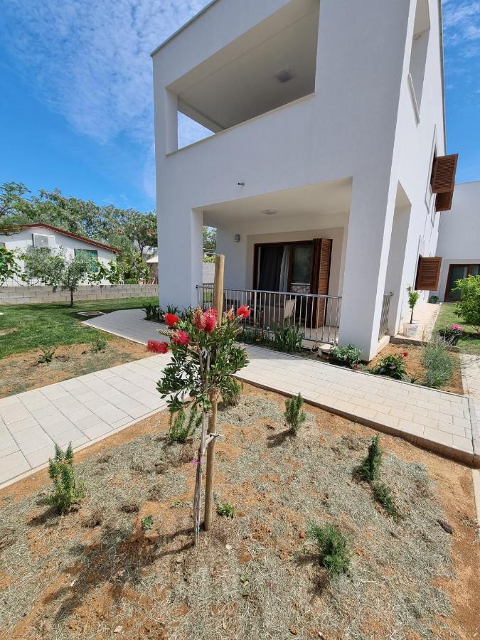 Apartments Leticia Vrsi Εξωτερικό φωτογραφία